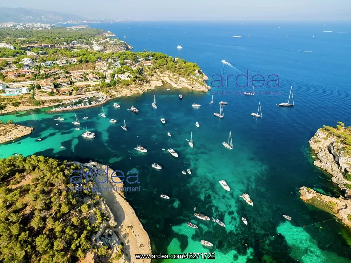 : Aerial view, yachts at Portals Vells, Majorca, Balearic : Aerial view, yachts at Portals Vells, Majorca, Balearic
