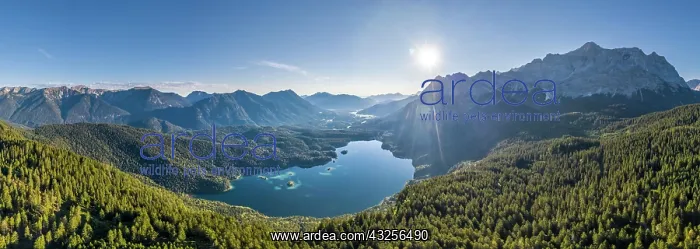 : Aerial view, Zugspitze massif with Zugspitze, Wetterstein : Aerial view, Zugspitze massif with Zugspitze, Wetterstein