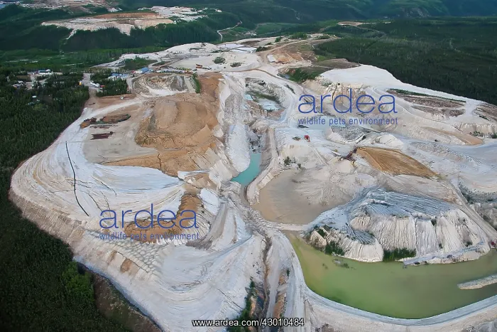 : Aerial views of pollution and reclamation of the : Aerial views of pollution and reclamation of the