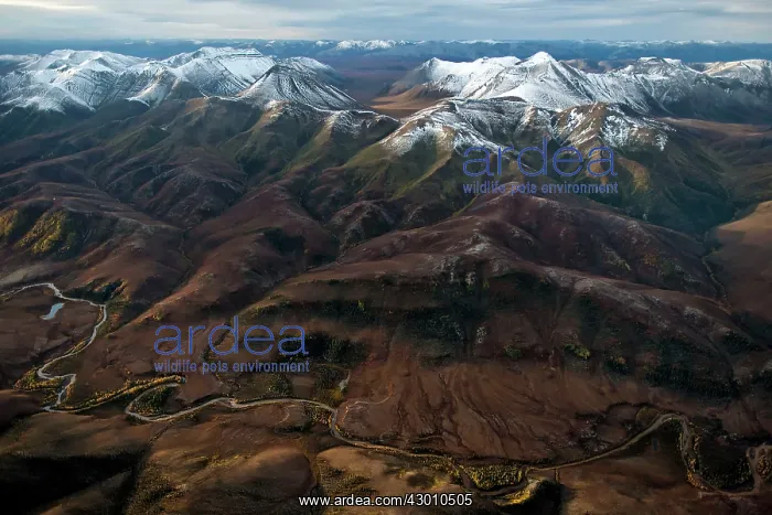 : Aerial views of Yukon Wilderness Mountains Dawson : Aerial views of Yukon Wilderness Mountains Dawson