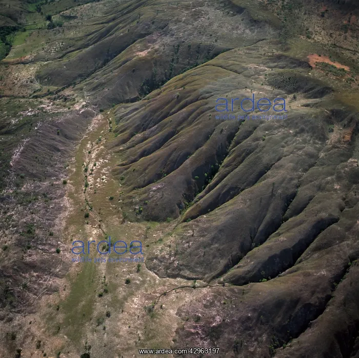 : Aerial Viw of Guyana, South America : Aerial Viw of Guyana, South America