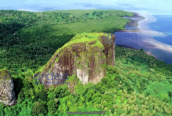 : Aerial - Volcanic formation Pohnpei : Aerial - Volcanic formation Pohnpei