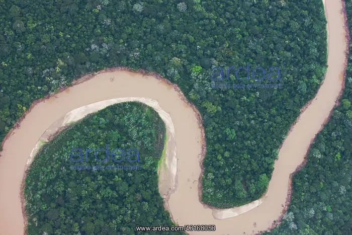 : Aerial of winding river and rain forest : Aerial of winding river and rain forest