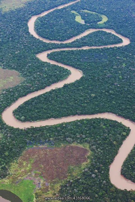 : Aerial of winding river and rain forest : Aerial of winding river and rain forest