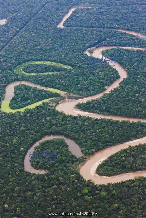 : Aerial of winding river and rain forest : Aerial of winding river and rain forest