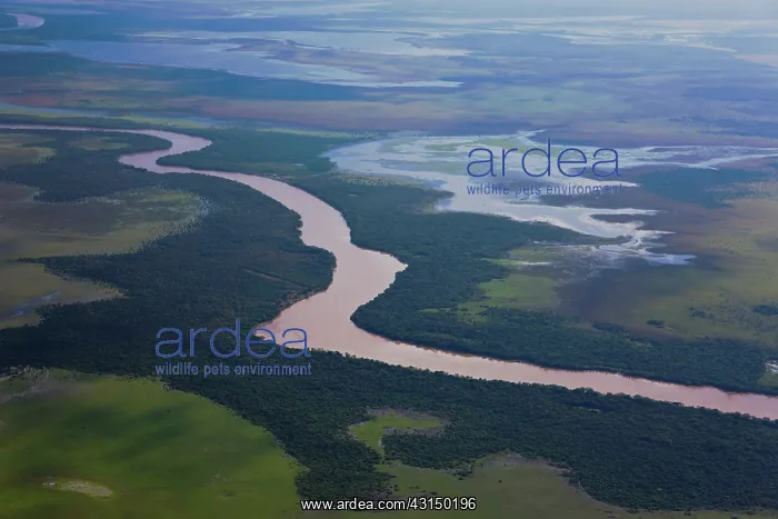 : Aerial of winding river and tree savannah : Aerial of winding river and tree savannah