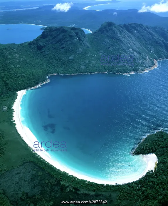 : Aerial - Wineglass Bay and the Hazards Freycinet : Aerial - Wineglass Bay and the Hazards Freycinet
