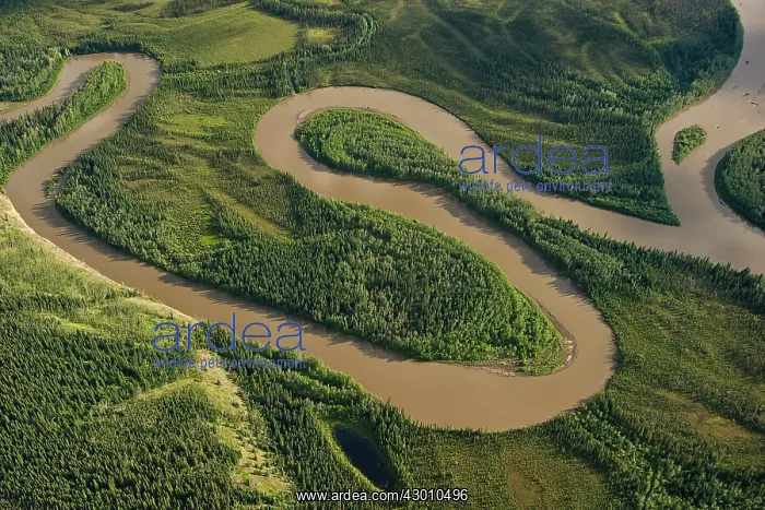: Aerials Yukon River Waterhshed. White River. Stewart : Aerials Yukon River Waterhshed. White River. Stewart