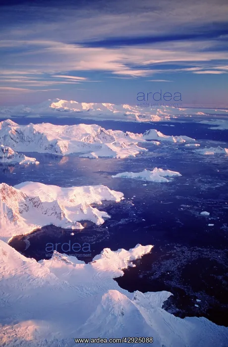 : Aeriel view of West side of Arctowsky Peninsula : Aeriel view of West side of Arctowsky Peninsula