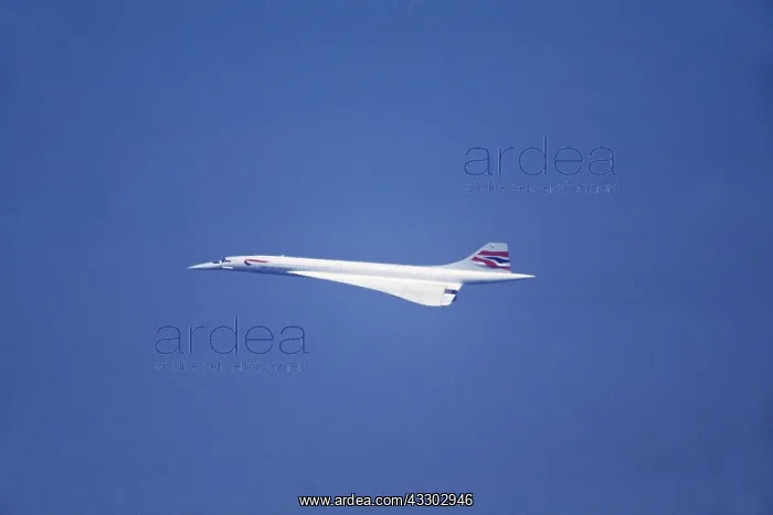 : AEROPLANE - CONCORD IN FLIGHT : AEROPLANE - CONCORD IN FLIGHT