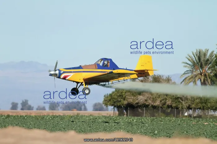 : Aeroplane - crop duster spraying agricultural fields : Aeroplane - crop duster spraying agricultural fields