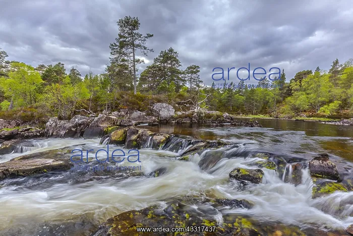 : Affric River - wild river Affric cascading through : Affric River - wild river Affric cascading through