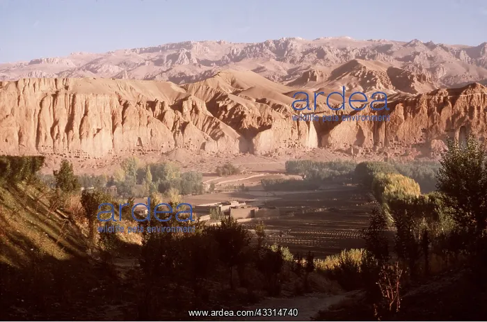  : AFGHANISTAN - Bamyan Valley at 8, 000 ft in Hindu Kush