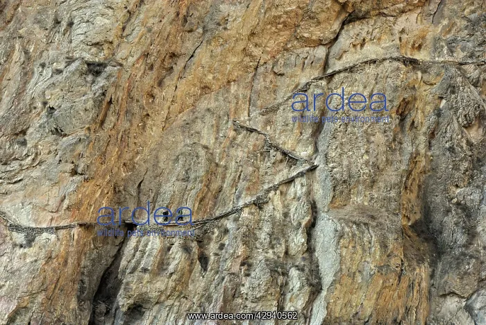 : Afghanistan - People walking on mountain path : Afghanistan - People walking on mountain path