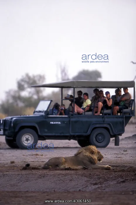 : Africa, Botswana, Chobe National Park, Safari : Africa, Botswana, Chobe National Park, Safari