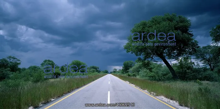 : Africa, Botswana, Rainy season storm over : Africa, Botswana, Rainy season storm over
