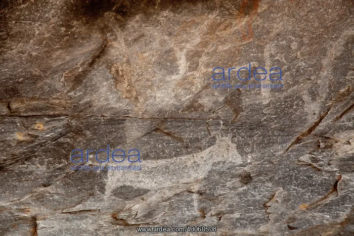 : Africa, Botswana, Tsodilo Hills. Ancient : Africa, Botswana, Tsodilo Hills. Ancient