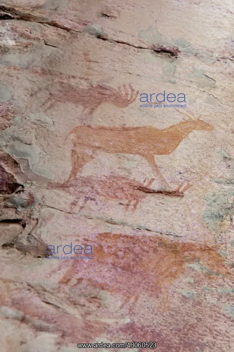 : Africa, Botswana, Tsodilo Hills. Ancient : Africa, Botswana, Tsodilo Hills. Ancient