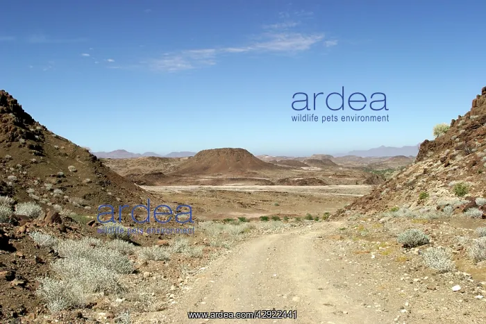 : Africa - Damaraland : Africa - Damaraland