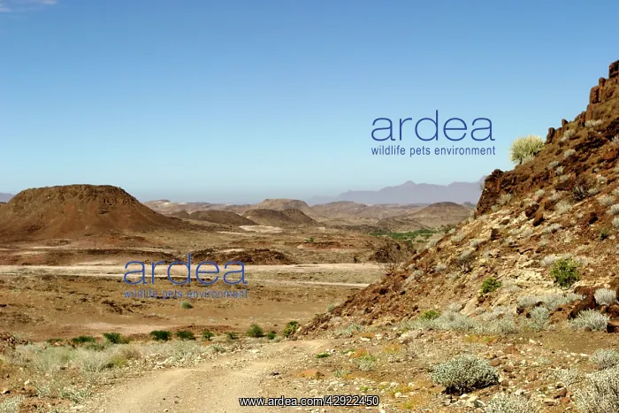 : Africa - Damaraland : Africa - Damaraland