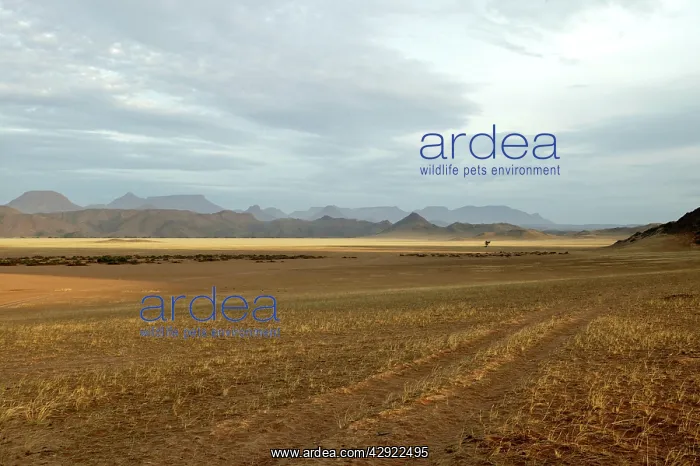 : Africa - Damaraland : Africa - Damaraland