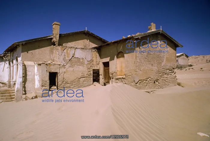 : Africa - desert encroachment. Derelict diamond mining town : Africa - desert encroachment. Derelict diamond mining town