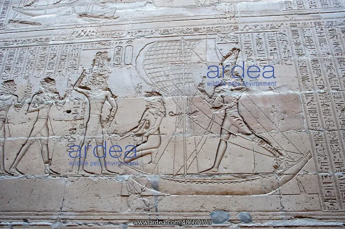 : Africa, Egypt, Aswan. The Temple of Edfu : Africa, Egypt, Aswan. The Temple of Edfu