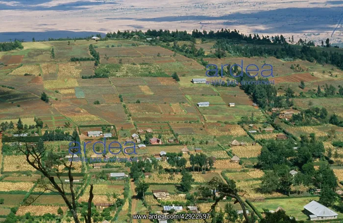 : AFRICA - Kenya : AFRICA - Kenya