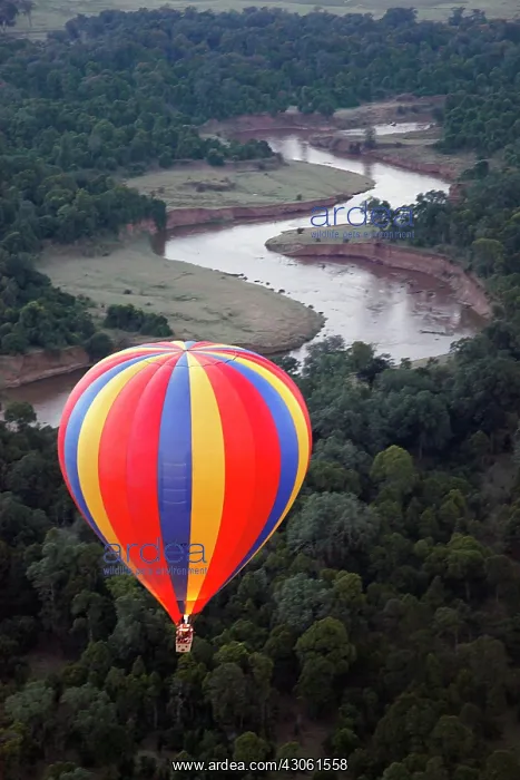 : Africa, Kenya, Maasai Mara. Hot-Air Ballooning : Africa, Kenya, Maasai Mara. Hot-Air Ballooning