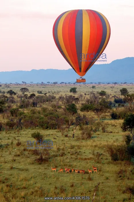  : Africa, Kenya, Maasai Mara. Hot-Air Ballooning