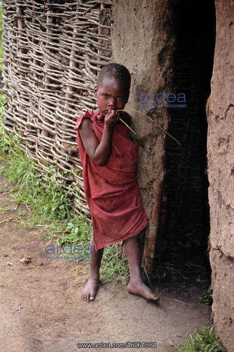 : Africa, Kenya, Maasai Mara. A young child : Africa, Kenya, Maasai Mara. A young child