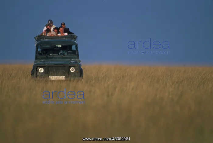 : Africa, Kenya, Masai Mara Game Reserve : Africa, Kenya, Masai Mara Game Reserve