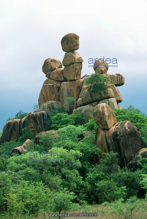  : Africa - Kopje granite boulders, Matobo Hills, Zimbabwe