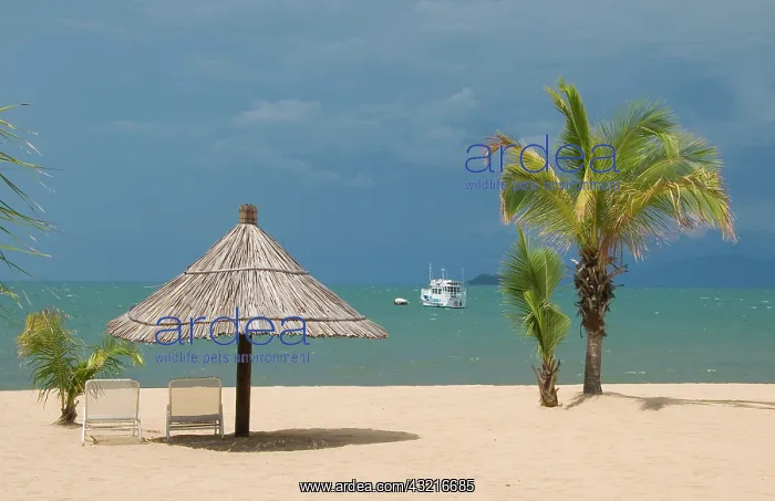: Africa; Malawi; Mangochi; Lake Malawi; Approaching : Africa; Malawi; Mangochi; Lake Malawi; Approaching