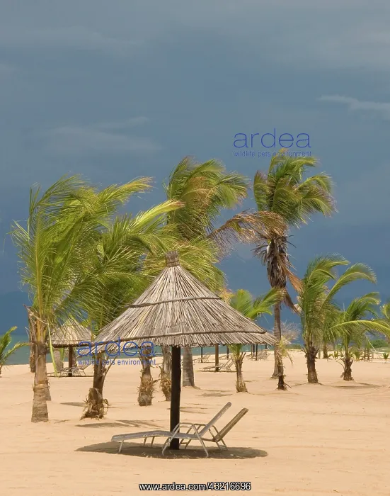 : Africa; Malawi; Mangochi; Lake Malawi; Storm : Africa; Malawi; Mangochi; Lake Malawi; Storm