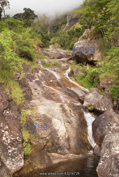  : Africa; Malawi; Mt Mulanje; Water flowing