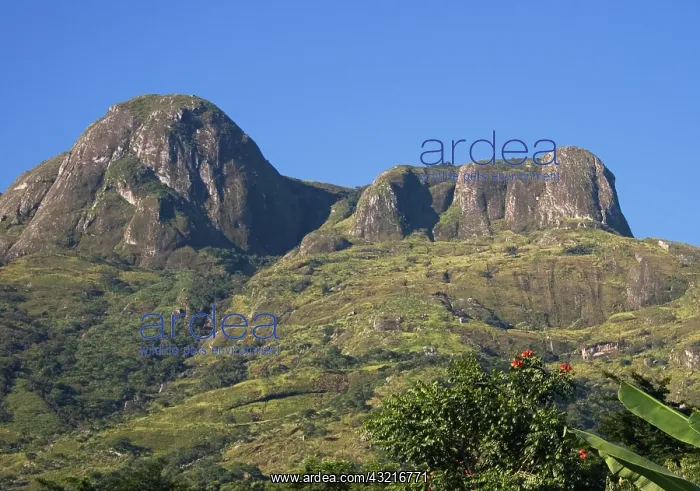 : Africa; Malawi; Mulanje; Mt. Mulanje, View : Africa; Malawi; Mulanje; Mt. Mulanje, View