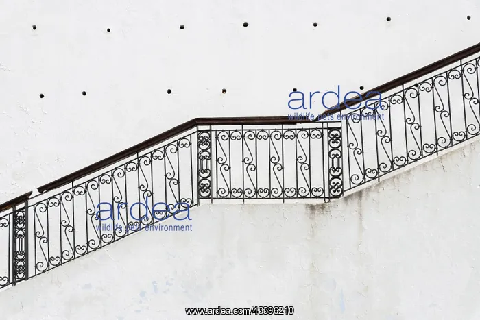 : Africa, Morocco, Chefchaouen. View of metal staircase : Africa, Morocco, Chefchaouen. View of metal staircase