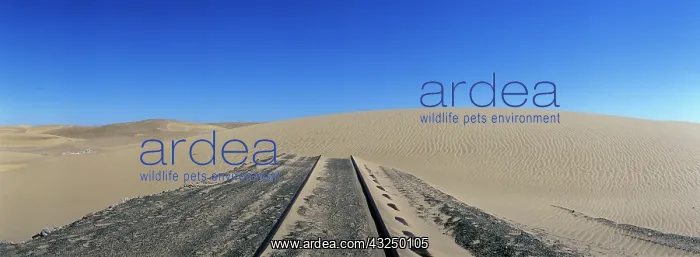 : Africa, Namibia, Abandoned railroad tracks : Africa, Namibia, Abandoned railroad tracks