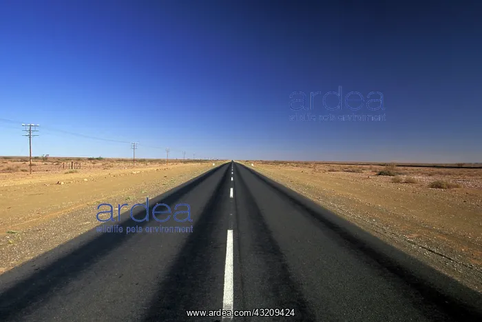 : Africa, Namibia, Asab. Desert highway 81 : Africa, Namibia, Asab. Desert highway 81