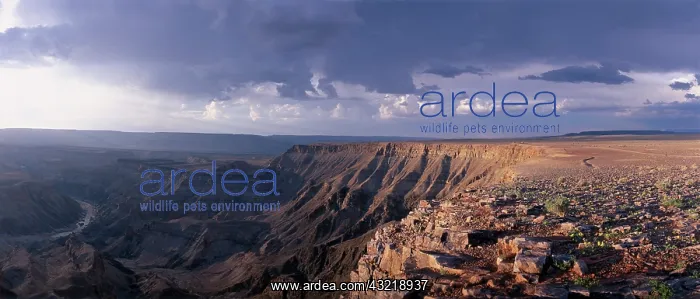  : Africa, Namibia, Fish River Canyon National