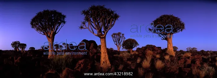 : Africa, Namibia, Keetmanshoop, Evening twilight : Africa, Namibia, Keetmanshoop, Evening twilight