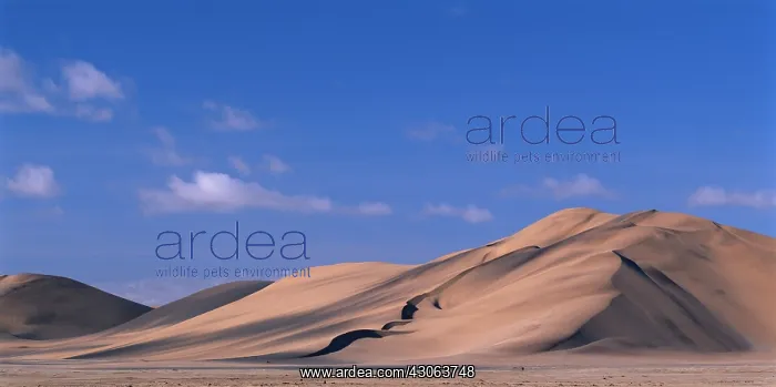 : Africa, Namibia, Namib Desert, Setting sun : Africa, Namibia, Namib Desert, Setting sun