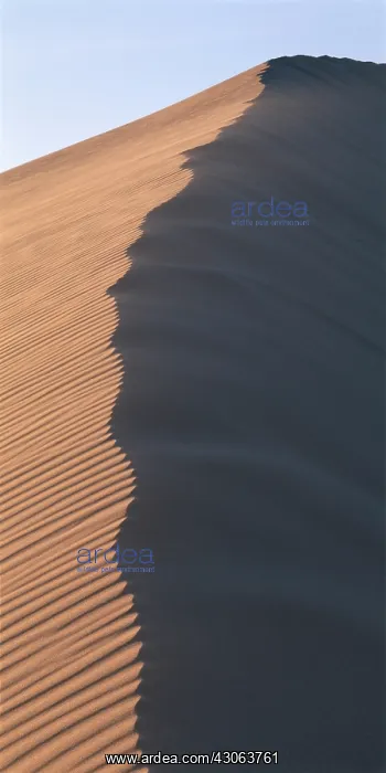 : Africa, Namibia, Namib Desert, Setting sun : Africa, Namibia, Namib Desert, Setting sun