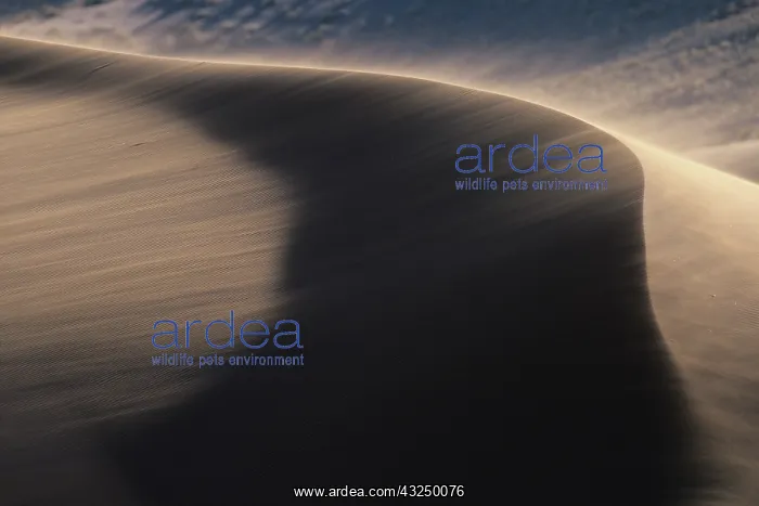 : Africa, Namibia, Namib Nauklift National : Africa, Namibia, Namib Nauklift National