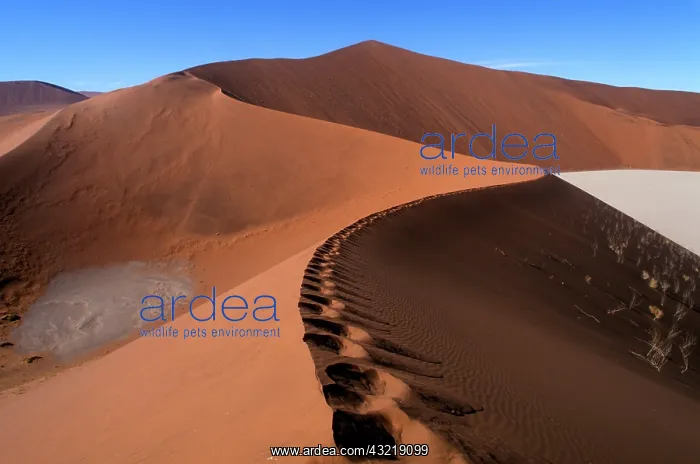  : Africa, Namibia, Namib Naukluft National