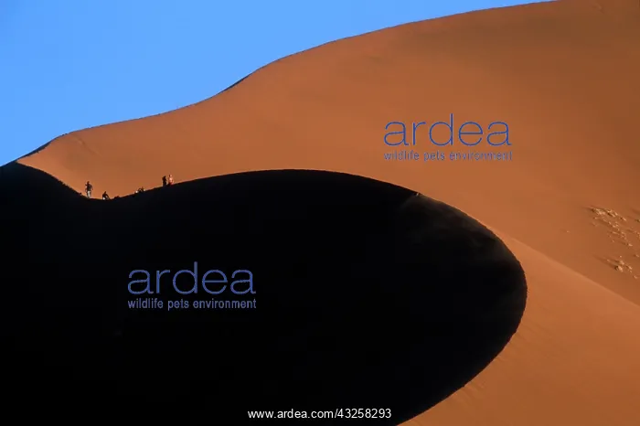 : Africa, Namibia, Namib Naukluft National : Africa, Namibia, Namib Naukluft National