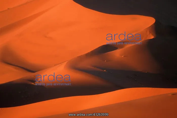 : Africa, Namibia, Namib Naukluft National : Africa, Namibia, Namib Naukluft National