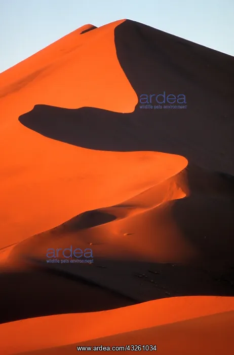 : Africa, Namibia, Namib Naukluft National : Africa, Namibia, Namib Naukluft National