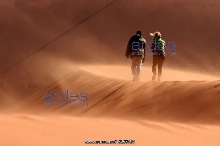 : Africa, Namibia, Sossusvlei : Africa, Namibia, Sossusvlei